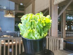 -九田家黑牛烤肉料理(无锡T12店)