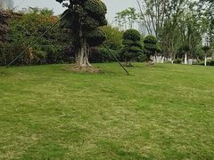 -府河摄影公园