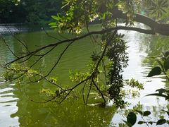 -燕晗山郊野公园
