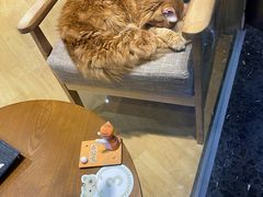 -藏猫猫咖啡主题馆(中央大道店)