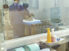 -芭比堂动物医院·犬猫全科·异宠专科(雁塔分院)