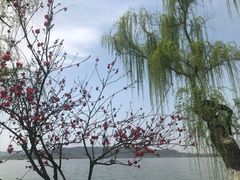 -满记甜品(湖滨店)