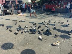 -槟城观音庙(Goddess of Mercy)