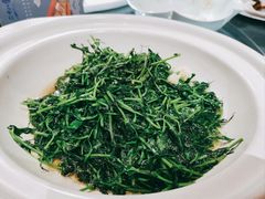 豆苗-二十八里太湖船菜(吉祥路店)
