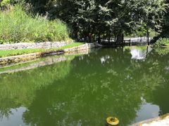 -成都市活水公园