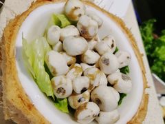 -润泽园椰子鸡(汇一城店)