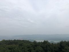 -铁山坪森林公园