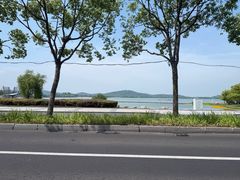 -上海市保健医疗中心