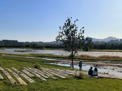 -首钢篮球中心-游泳馆