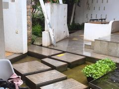 -大理老字号·舟渔的鱼野生菌海景餐厅(双廊店)