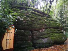 -汤旺河林海奇石景区