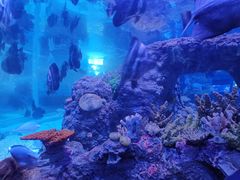 -成都浩海立方海洋公园