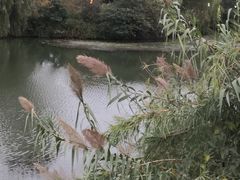 -苏沐堂全息足浴·SPA·按摩(万科美好广场店)