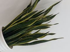 -上海燃气浦东销售有限公司(胶东路店)