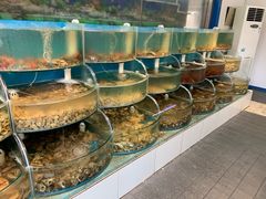 水产区-同道蒸汽海鲜烧烤自助(刘庄夜市店)