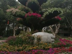 -广州雕塑公园