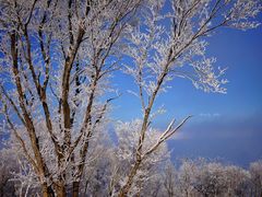 -中旅松花湖滑雪场