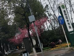 -金科花卉市场