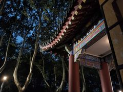 -灵谷景区