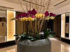 -广州花园酒店