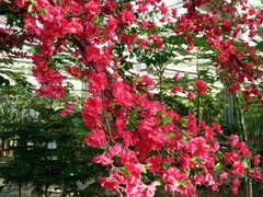 -天源吉布世温泉水乐园