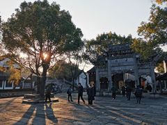 -鲁镇
