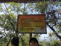 -欢乐松鼠谷