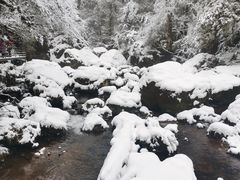 -龙苍沟森林公园
