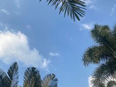 -深圳湾公园(南山区)