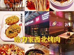 -哈力家·西北烧烤烤串(凤城三路店)