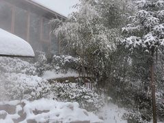 -江南天池高山汤泉城