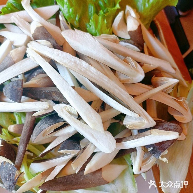 吃货们，今天带你们探索云南的宝藏地—吃菌客！