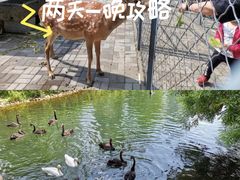 -长白岛森林公园