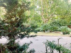 -申粤轩酒楼·三十年粤菜经典(丁香花园店)