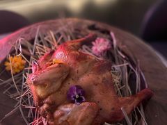 -Hi City·城市之巅