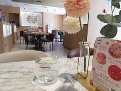 -哈根达斯(西安北郊店)