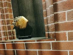 -永安鱼庄·镇江菜(东吴路店)