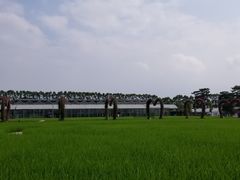 -迪茵湖田家舍生态农场