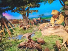 -国家自然博物馆