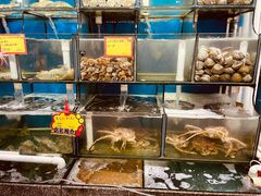 水产区-蚝专家(北滘店)