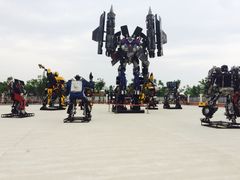 -上海长兴岛郊野公园