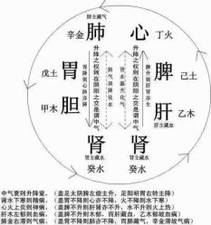-香薇妮丝·定制减肥·身材管理