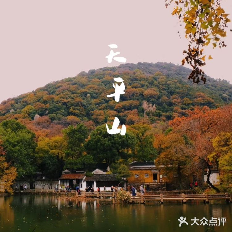 秋意浓 | 苏州天平山赏枫
