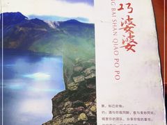 -巧婆婆特色东北菜·铁锅炖