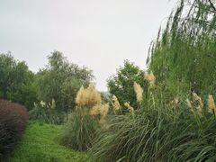 -杏花村文化旅游区