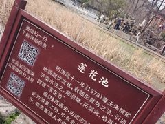 -莲湖公园