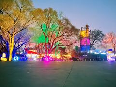 -枫花园汽车电影院(朝阳公园店)