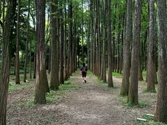 -杭州植物园