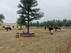 -北京群众马术培训基地