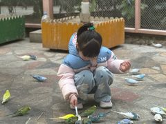 -南宫五洲植物乐园